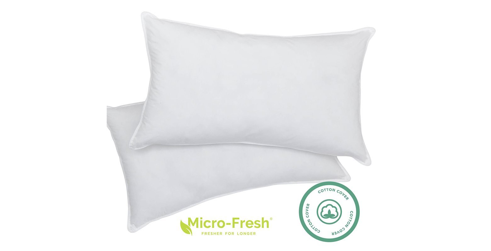 Anti allergy cushions 2025