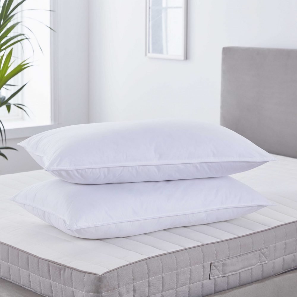 V-015399-01-Anti-Allergy-Microfresh-Pillow-Pair-One-Size-1-scaled-1.jpg