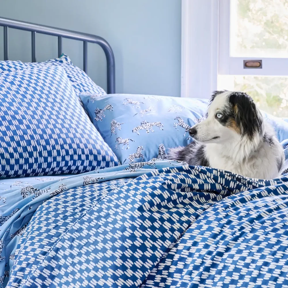 A painted blue check duvet cover set with painted blue pillowcases. There is a dog lying on the duvet cover.